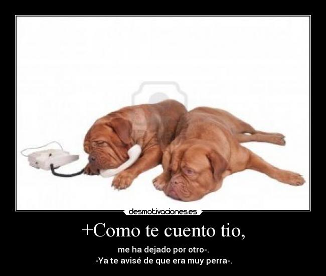 +Como te cuento tio, - me ha dejado por otro-.
-Ya te avisé de que era muy perra-.