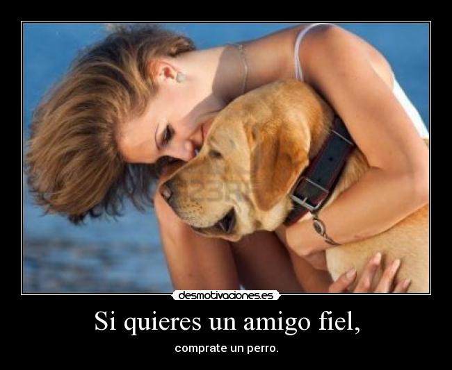 carteles quieres amigo fiel comprate perro desmotivaciones
