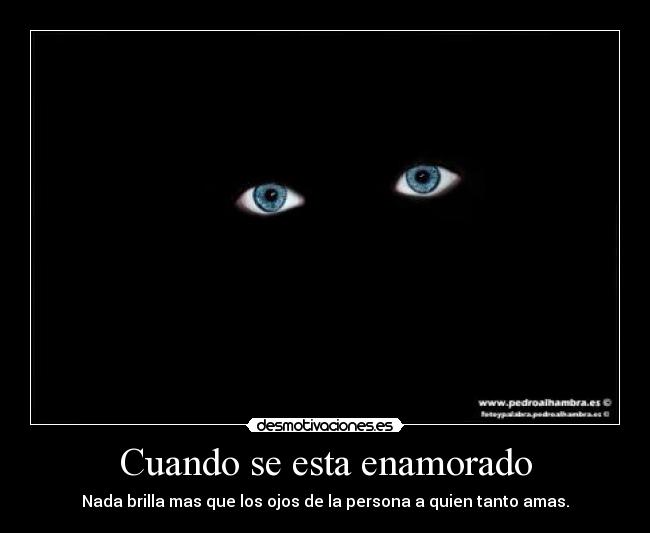 carteles cuando esta enamorado desmotivaciones