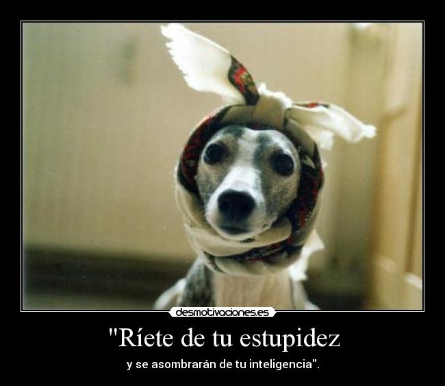 Ríete de tu estupidez -