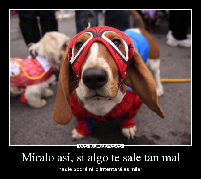 Míralo así, si algo te sale tan mal - nadie podrá ni lo intentará asimilar.