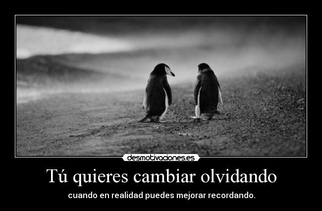 Tú quieres cambiar olvidando - cuando en realidad puedes mejorar recordando.