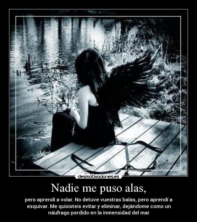 Nadie me puso alas, - pero aprendí a volar. No detuve vuestras balas, pero aprendí a
esquivar. Me quisisteis evitar y eliminar, dejándome como un
náufrago perdido en la inmensidad del mar
