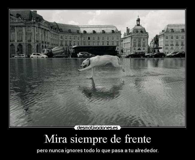 Mira siempre de frente - pero nunca ignores todo lo que pasa a tu alrededor.