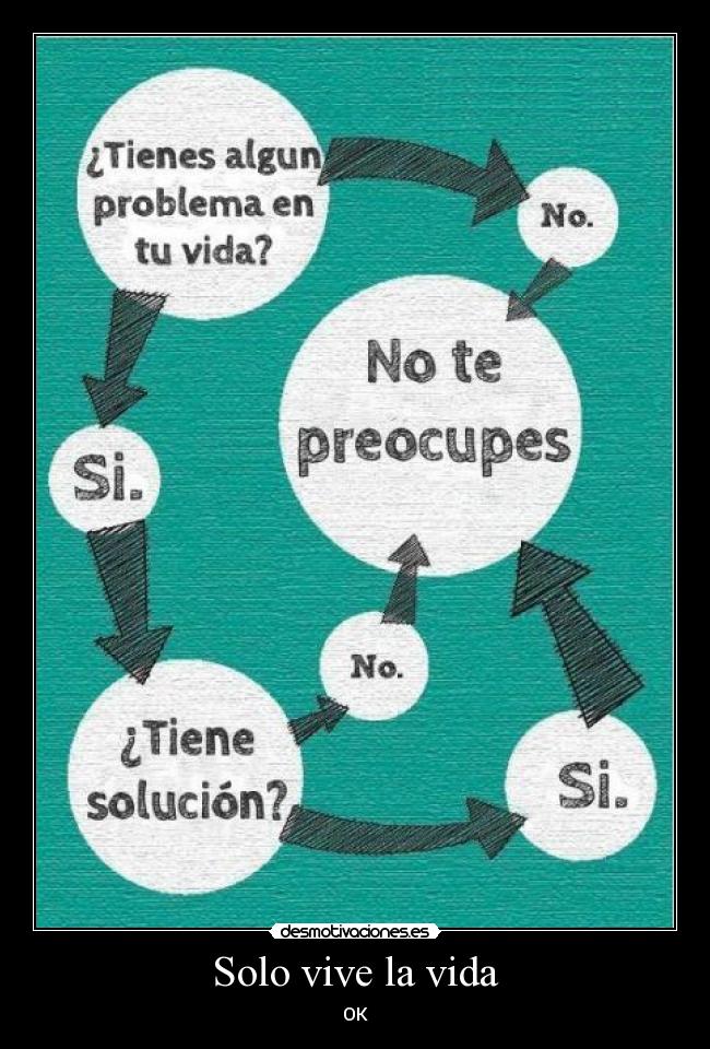 Solo vive la vida - OK