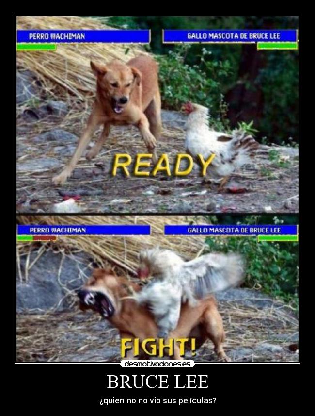 carteles bruce lee yeahhhhh desmotivaciones