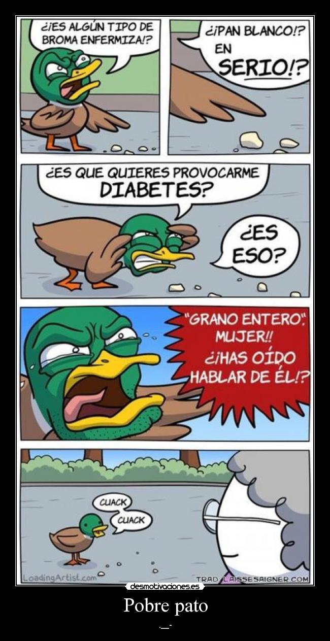 Pobre pato - 