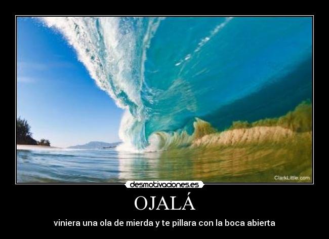 OJALÁ - viniera una ola de mierda y te pillara con la boca abierta