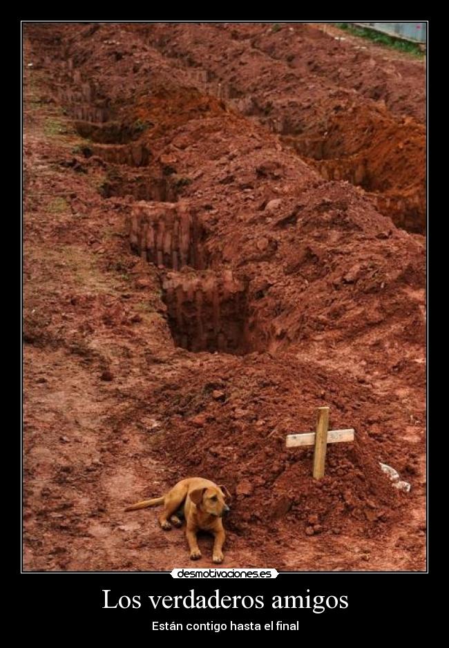 Los verdaderos amigos - Están contigo hasta el final