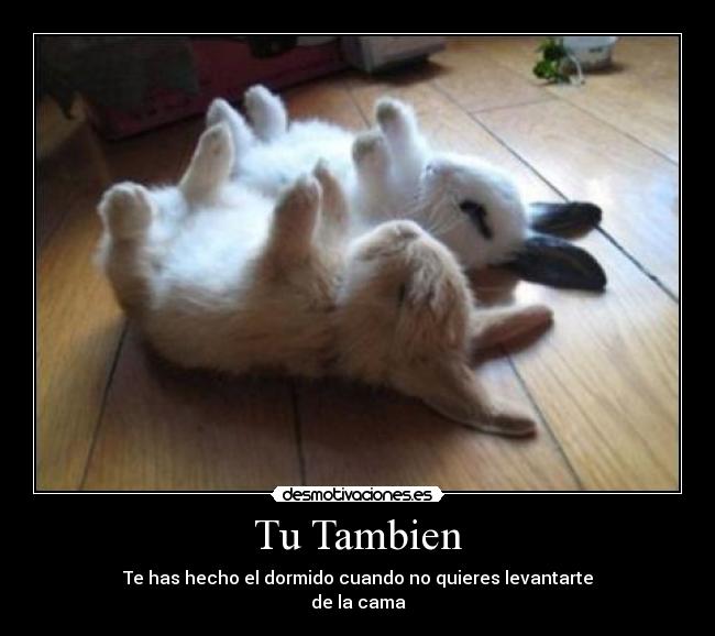 Tu Tambien - Te has hecho el dormido cuando no quieres levantarte
de la cama