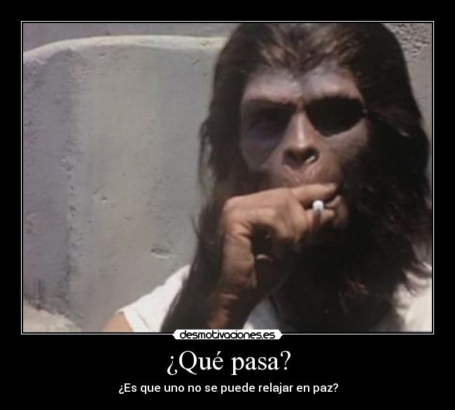¿Qué pasa? - ¿Es que uno no se puede relajar en paz?