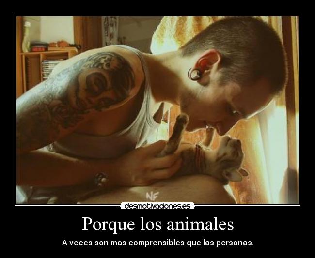 Porque los animales - 