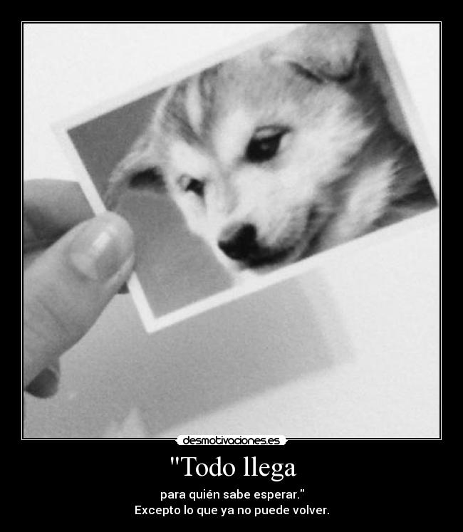 Todo llega - para quién sabe esperar.
Excepto lo que ya no puede volver.