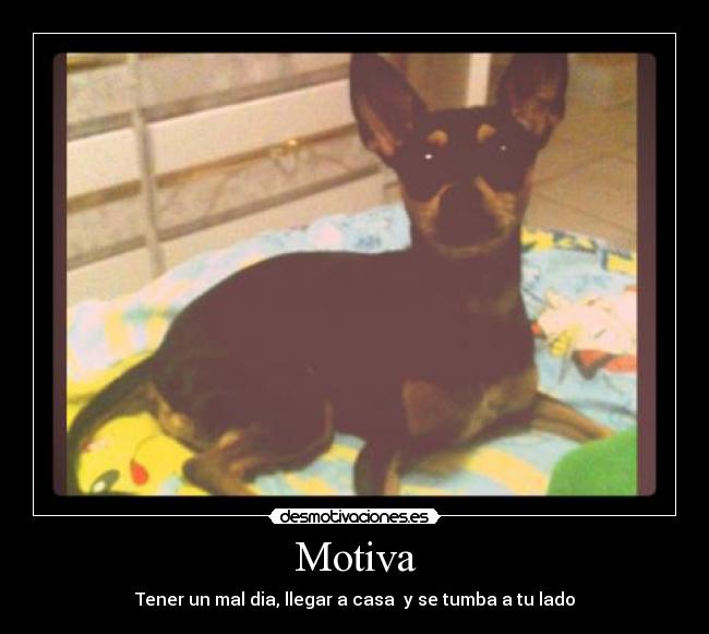 Motiva -