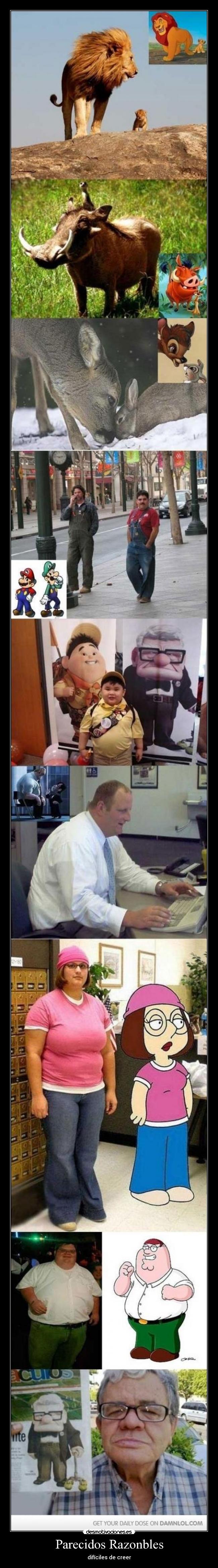 Parecidos Razonbles -