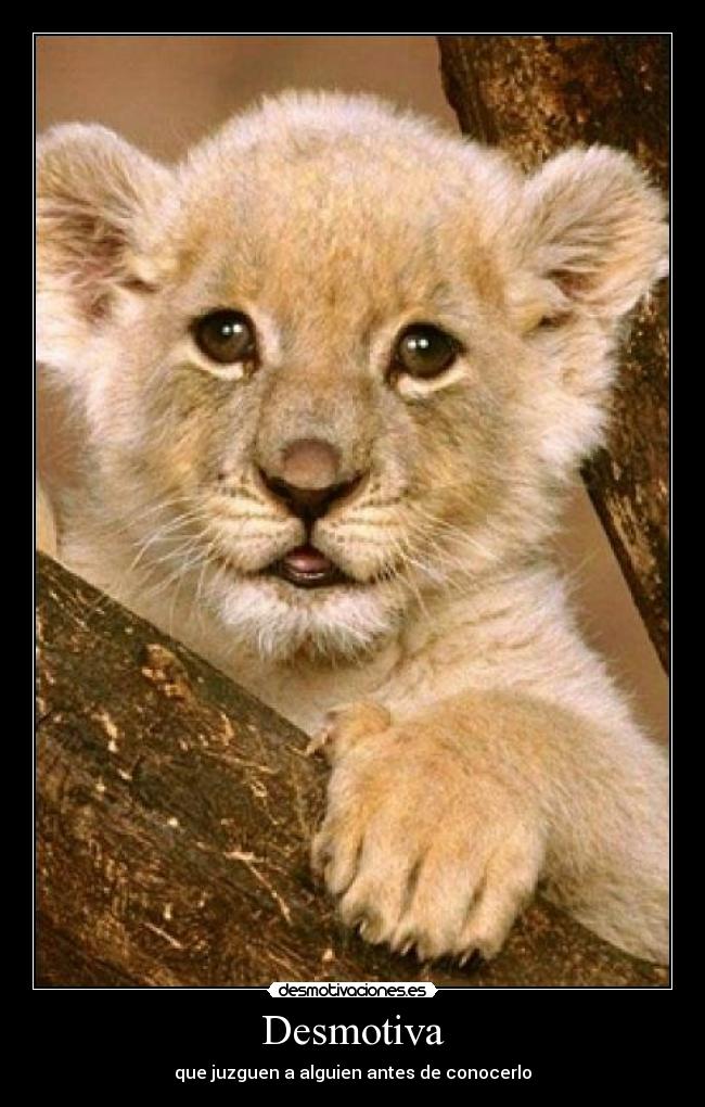 Desmotiva - que juzguen a alguien antes de conocerlo