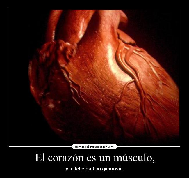 El corazón es un músculo, - y la felicidad su gimnasio.