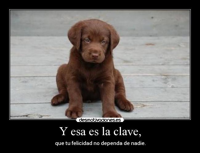 Y esa es la clave, -