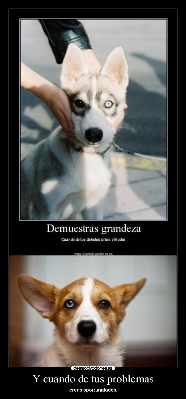 Y cuando de tus problemas -