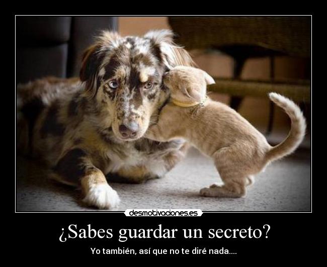 ¿Sabes guardar un secreto? - 