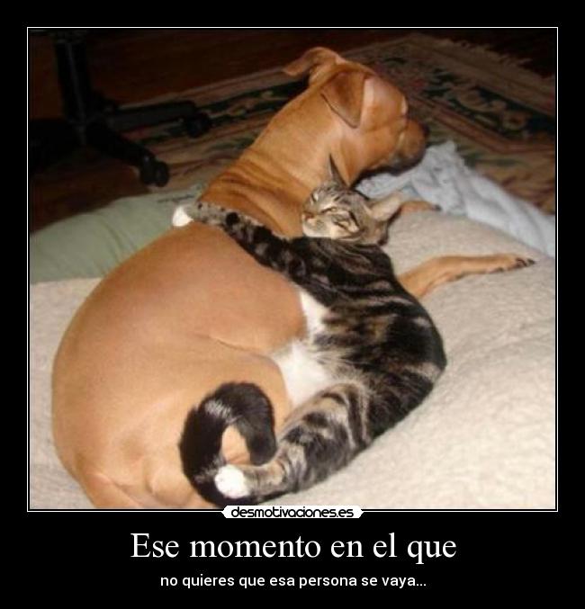 Ese momento en el que -