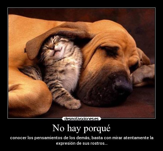 No hay porqué - conocer los pensamientos de los demás, basta con mirar atentamente la
expresión de sus rostros...