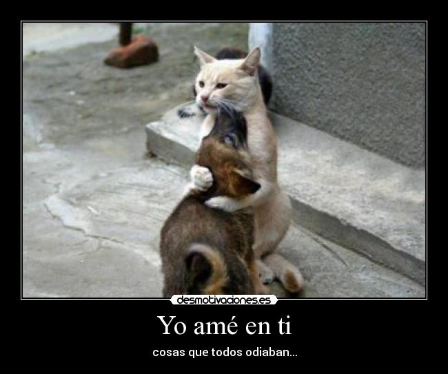 Yo amé en ti - cosas que todos odiaban...