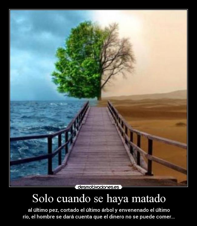 Solo cuando se haya matado - al último pez, cortado el último árbol y envenenado el último
río, el hombre se dará cuenta que el dinero no se puede comer...