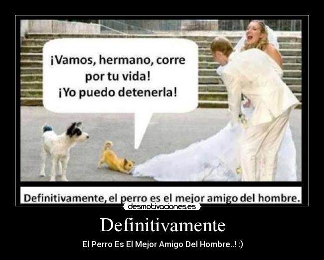 Definitivamente - El Perro Es El Mejor Amigo Del Hombre..! :)