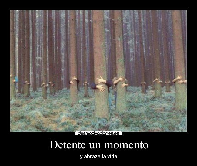 Detente un momento - y abraza la vida