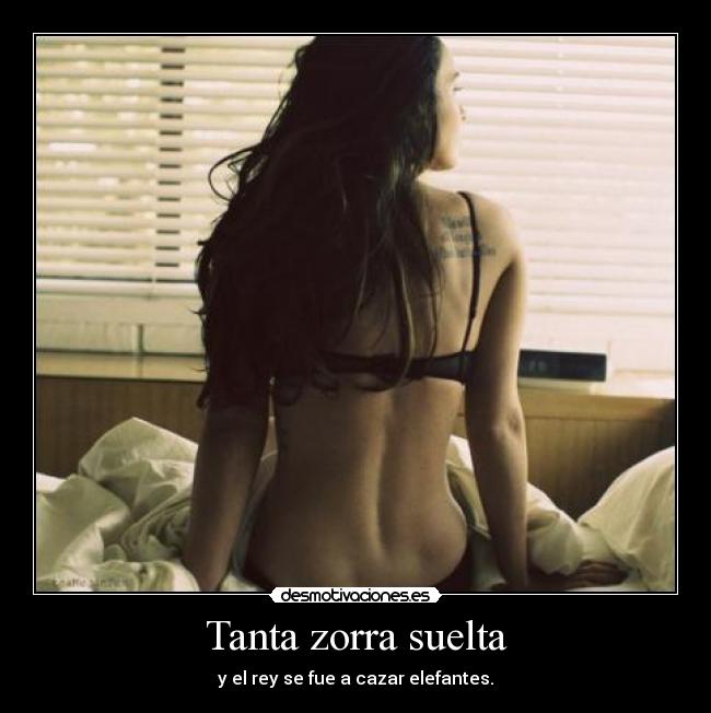 Tanta zorra suelta -