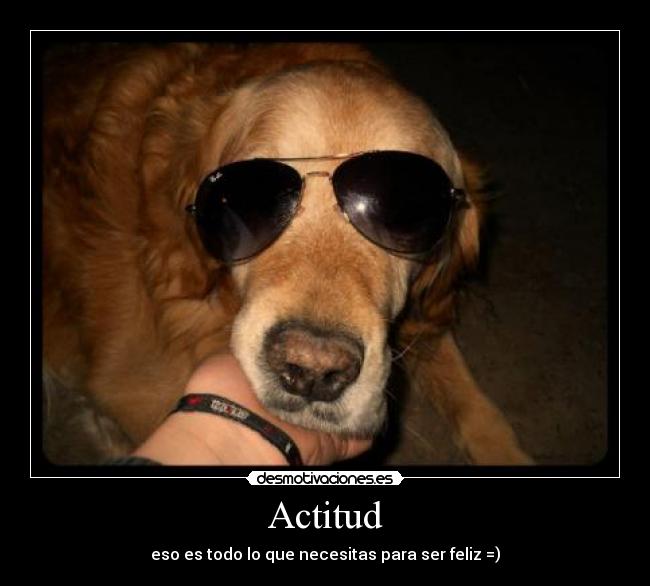 Actitud - eso es todo lo que necesitas para ser feliz =)