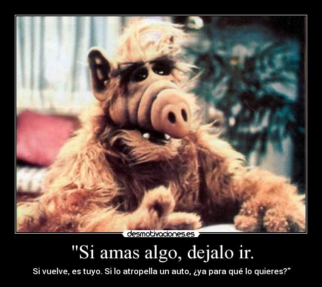 Si amas algo, dejalo ir. -