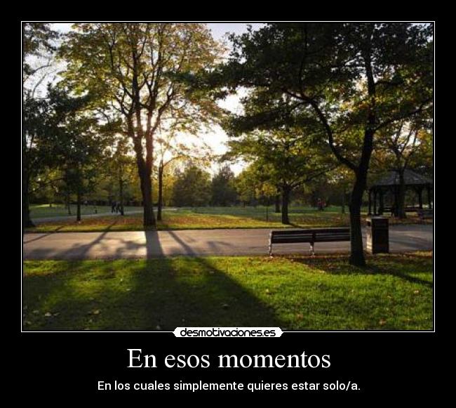 En esos momentos - En los cuales simplemente quieres estar solo/a.