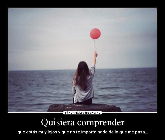 Quisiera comprender -