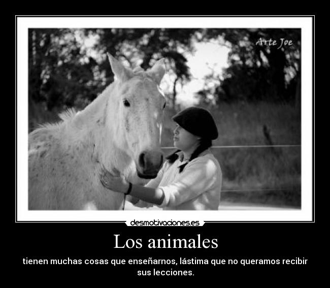 Los animales -