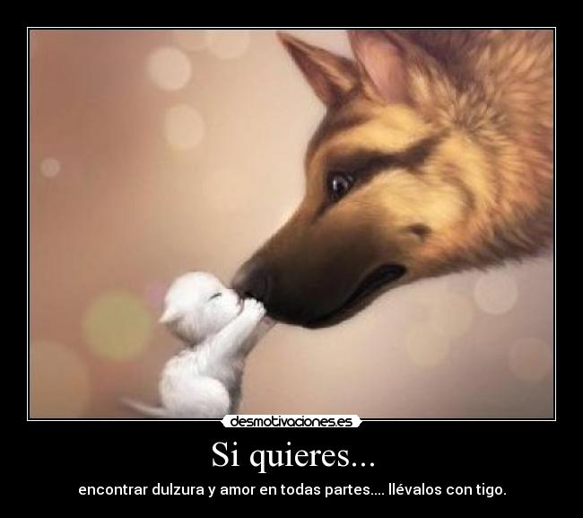 Si quieres... -