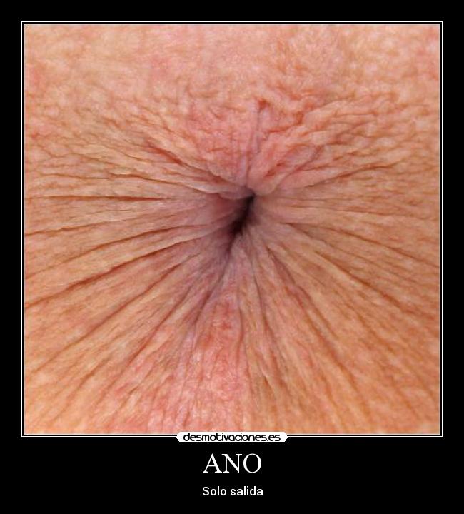 sexo anal foro