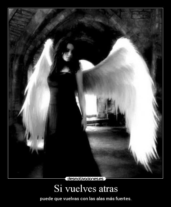 Si vuelves atras - puede que vuelvas con las alas más fuertes.