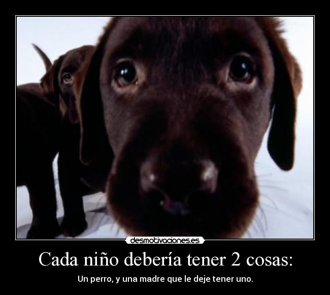 Cada niño debería tener 2 cosas: -