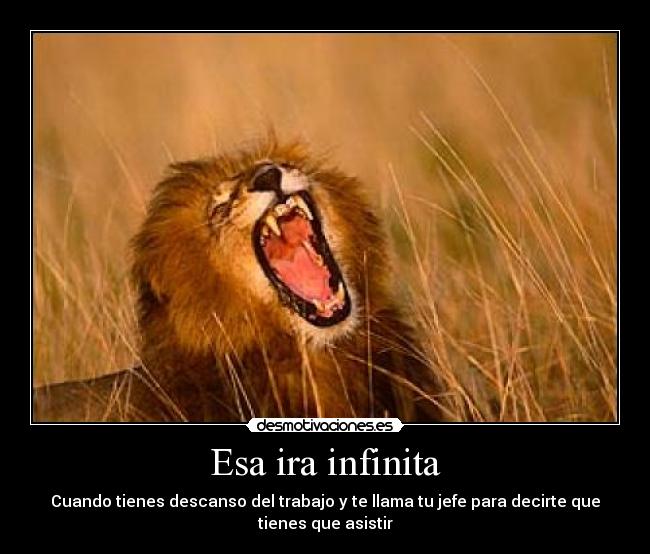 Esa ira infinita - Cuando tienes descanso del trabajo y te llama tu jefe para decirte que tienes que asistir
