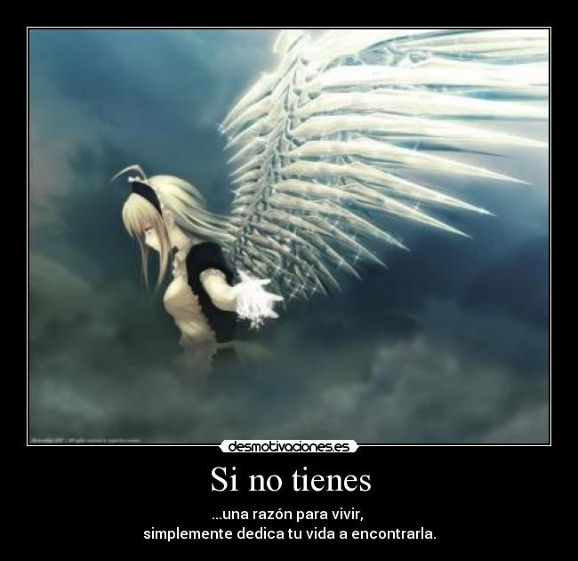 Si no tienes - 