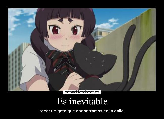 Es inevitable - tocar un gato que encontramos en la calle.