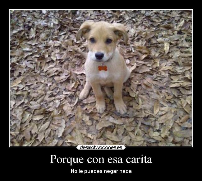 Porque con esa carita - 