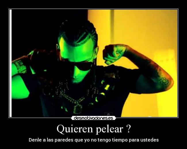 Quieren pelear ? - 