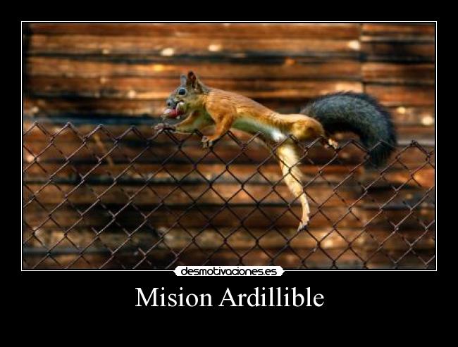 Mision Ardillible -