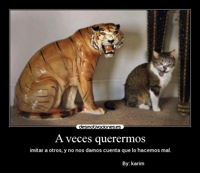 A veces querermos - imitar a otros, y no nos damos cuenta que lo hacemos mal.
By: karim