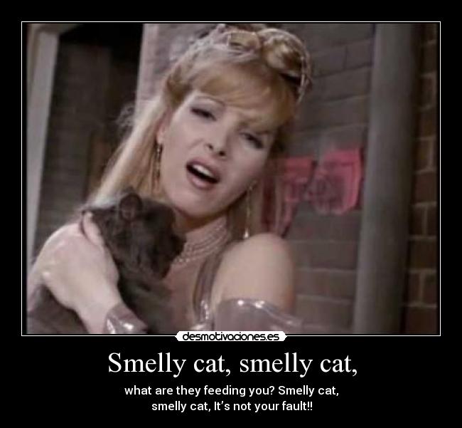 Smelly cat, smelly cat, - what are they feeding you? Smelly cat,
smelly cat, It’s not your fault!!