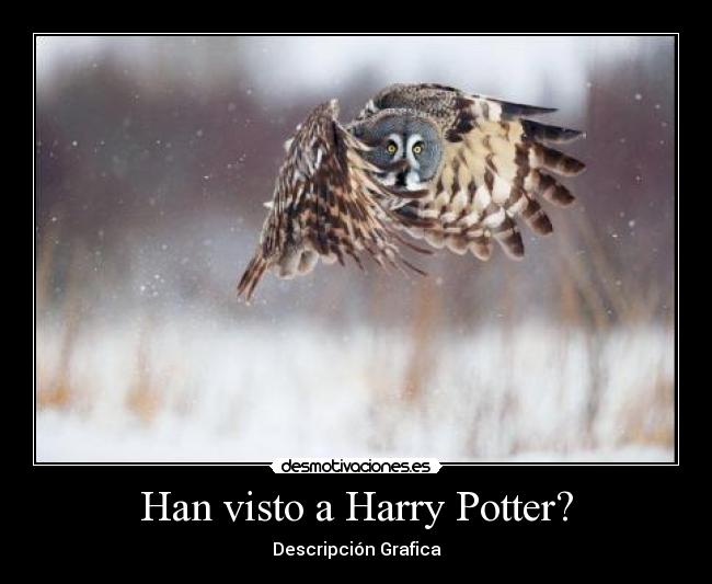 Han visto a Harry Potter? - Descripción Grafica