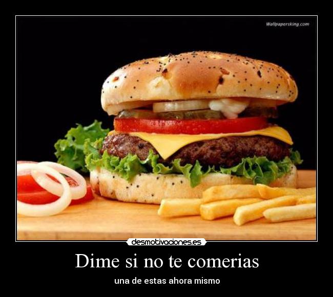 carteles clan catkillers iireminding monstermasterii desmotivaciones